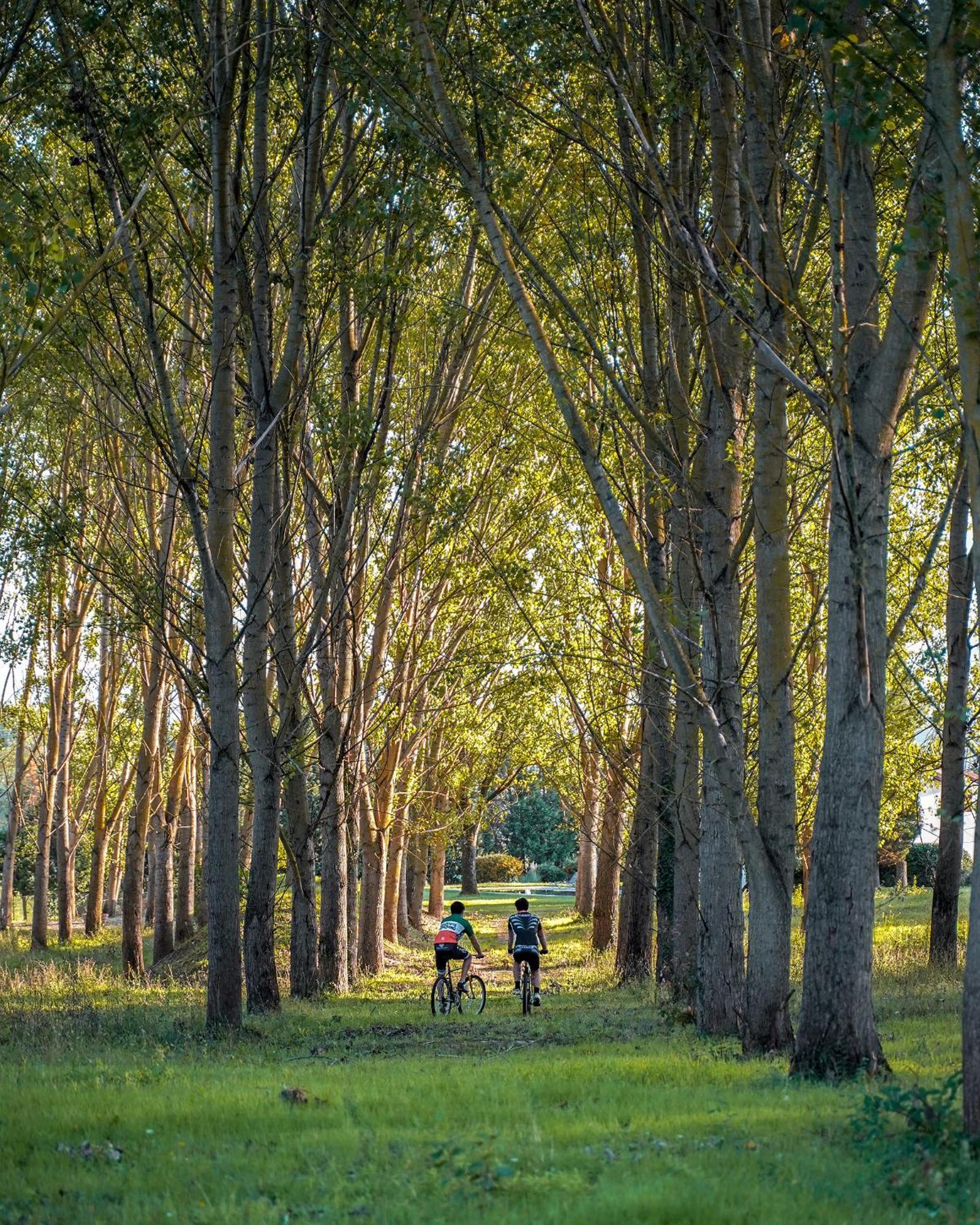 Viesca Suites & Villas Il Borro Toscana Reggello Dış mekan fotoğraf